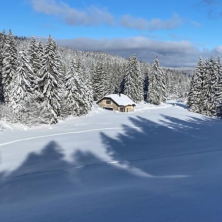La Loge De La Dolarde - Chambre Nord-Est Hotel Premanon Luaran gambar