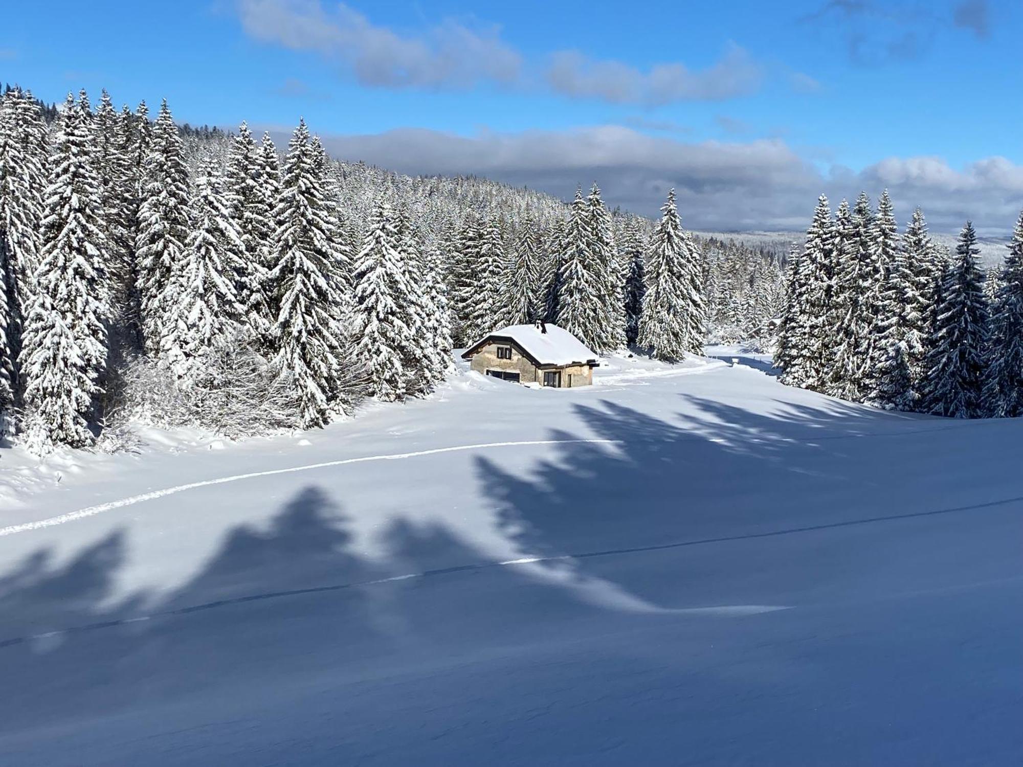 La Loge De La Dolarde - Chambre Nord-Est Hotel Premanon Luaran gambar